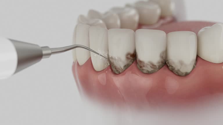 Reliable Dental contractor in Mount Clemens, MI by Dentist Open Now